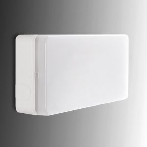 Alumbrado Emergencia LED Esera 60Lm 1 Hora IP44